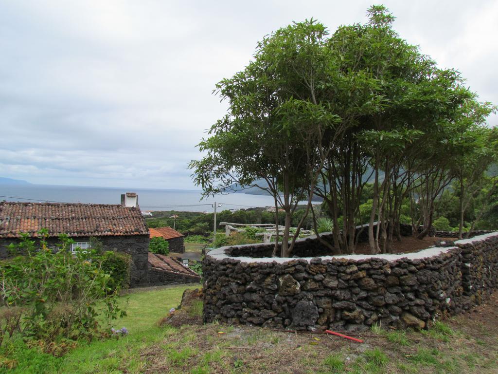 Casas De Campo Housesinpico Prainha  Kültér fotó