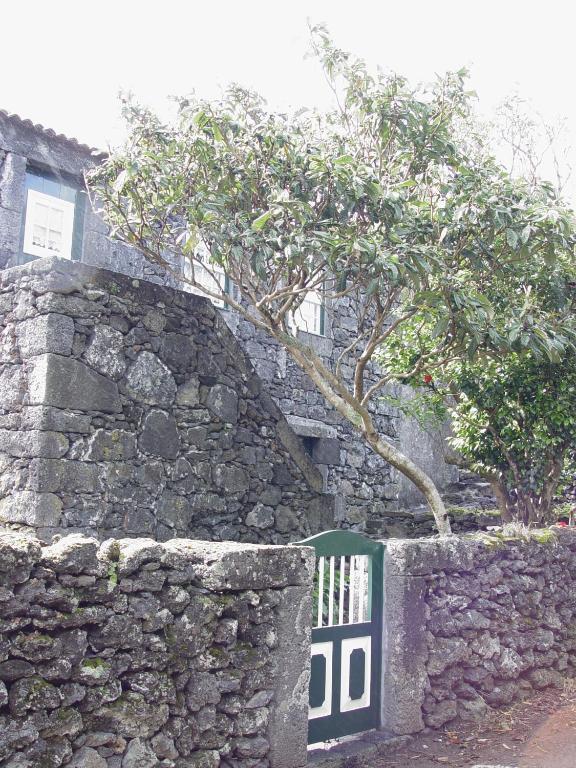 Casas De Campo Housesinpico Prainha  Kültér fotó